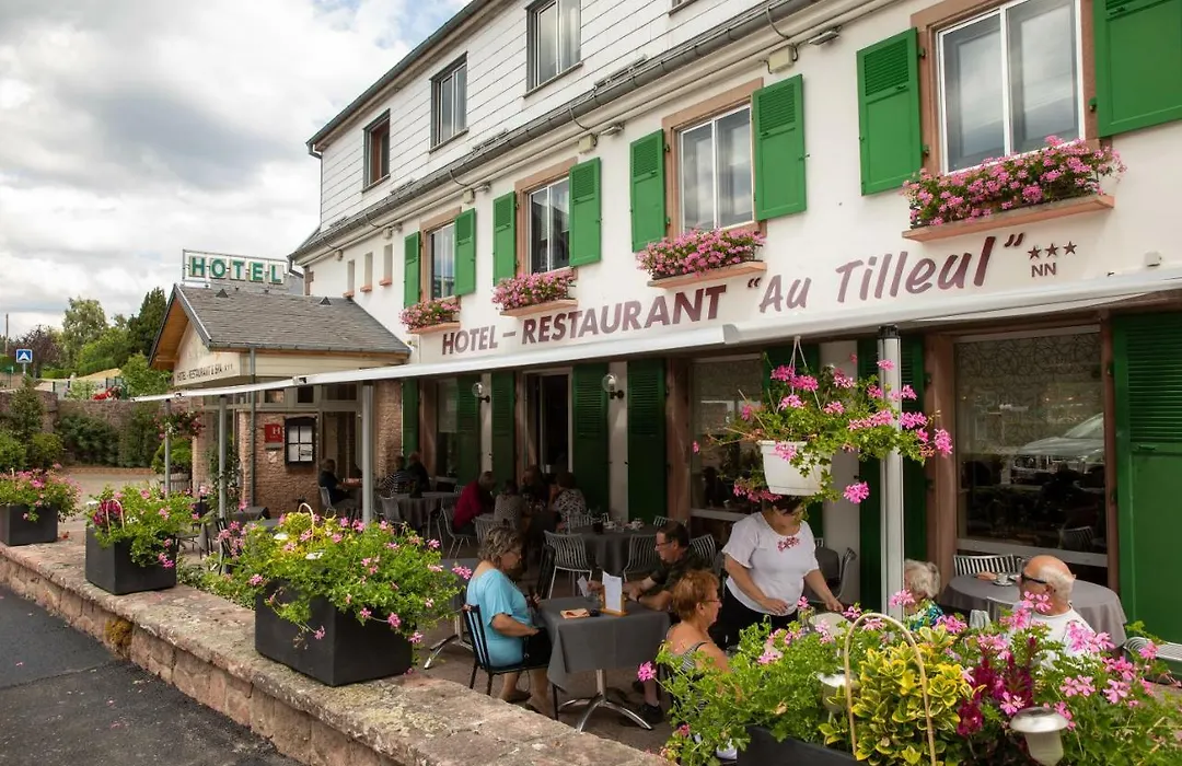 Hôtel Restaurant et Spa Au Tilleul-1