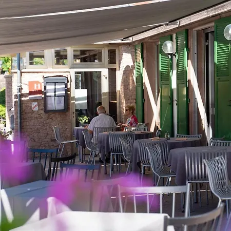 Hôtel Restaurant et Spa Au Tilleul-2